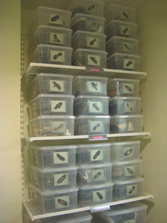 how to organize shoes organizing shoes with photos carrie bradshaw style how to organize shoes organizing shoes with photos carrie bradshaw style