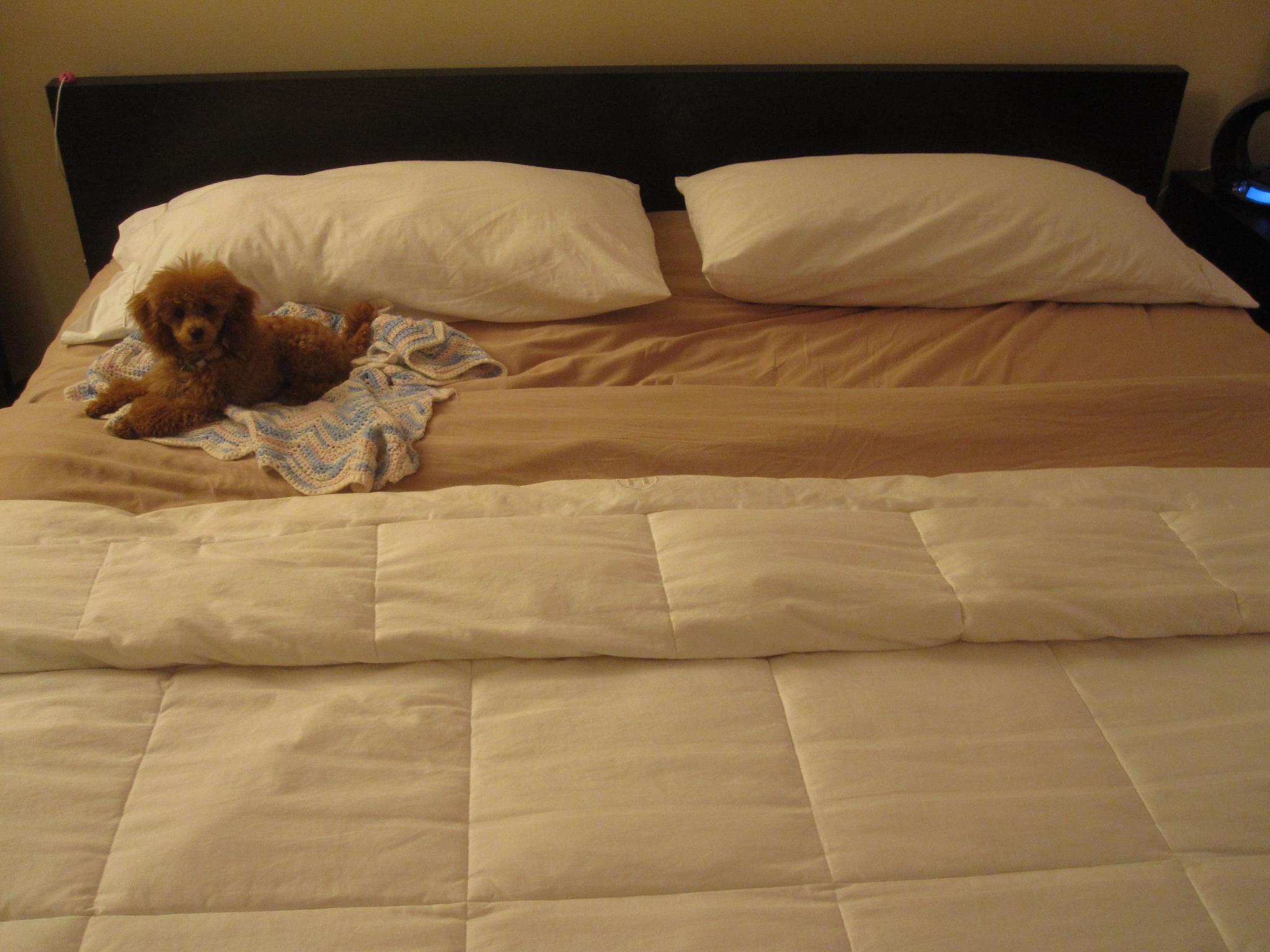 Which Side of The Bed Do You Sleep On?