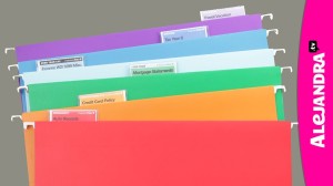 How to Organize Your Files with Freedom Filer Filing System