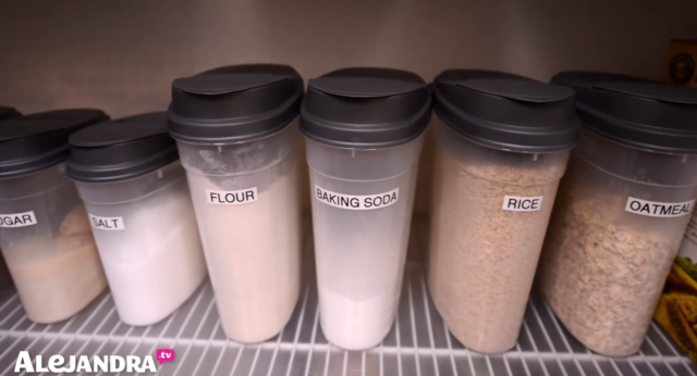 Low Cost Organizing Idea: Dollar Store Food Containers are a Great Option for Storing Dry Goods #AlejandraTV