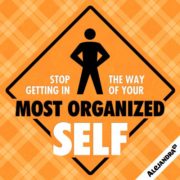 Stop Getting in the Way of your Most Organized Self