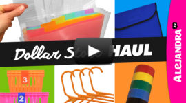 Dollar Store Haul Organization Products