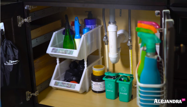 Bathroom Organization - How to Organize Cleaning Supplies Cabinet Under the Sink