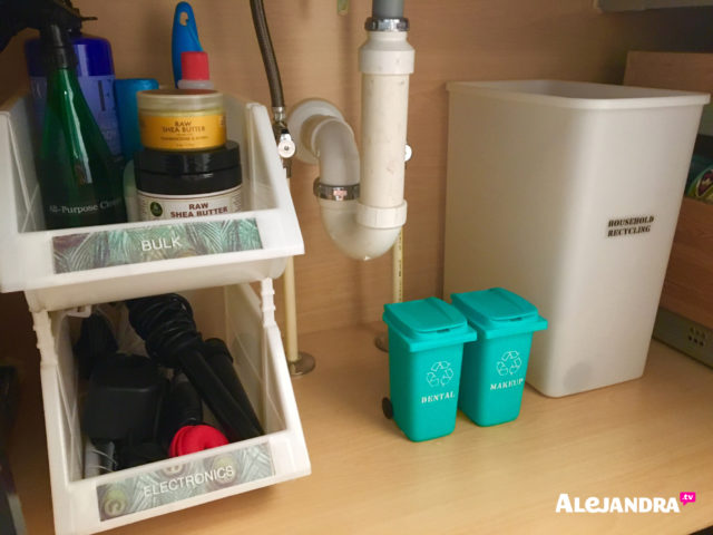 Bathroom Organization - How to Organize the Cabinet Under the Sink