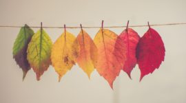 mother nature declutter