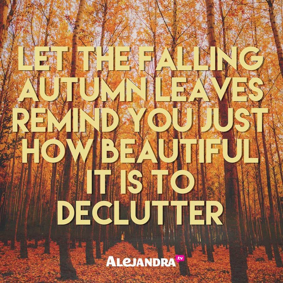 A new season has arrived! Let the falling autumn leaves remind us all just how beautiful it is to declutter, release, & let go. 🙌🏼🍂🍁🧡