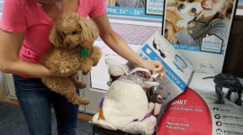 Letting go of sentimental items